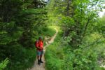 2014-07-05_Laengental-N-Hochweg (534). JPG